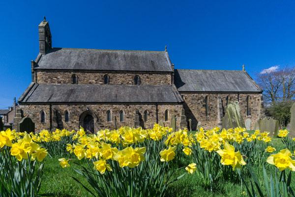 Holy Cross on a sunny Spring day, dafodils in full bloom.